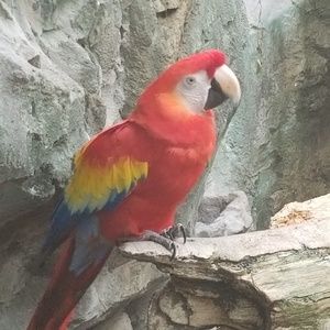 Meet your Posher, Leslie